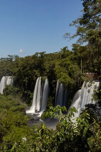 Ormanda güzel bir şelale