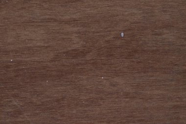 Günlük ev hayatının dokusu