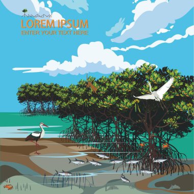 Vektör illüstrasyon: Mangrove ağaç habitatının panoraması.