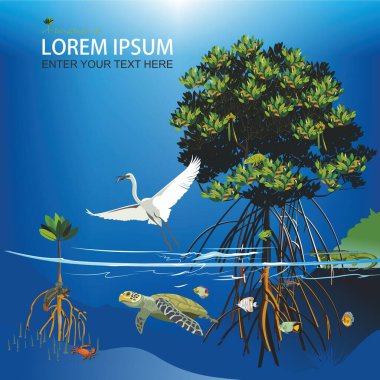 Vektör illüstrasyon: Mangrove ağaç habitatının panoraması.
