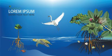 Vektör illüstrasyon: Mangrove ağaç habitatının panoraması.