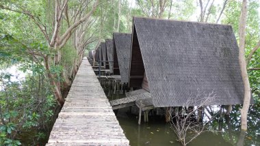  Mangrove Doğa Parkındaki Mangrove kreşi, Kuzey Jakarta.