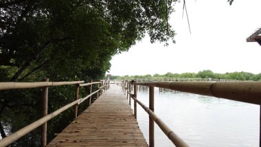  Mangrove Doğa Parkındaki Mangrove kreşi, Kuzey Jakarta.