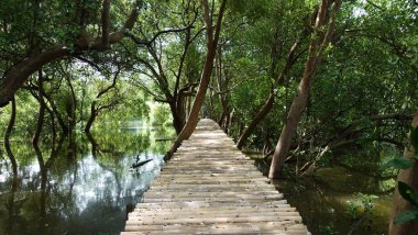  Mangrove Doğa Parkındaki Mangrove kreşi, Kuzey Jakarta.
