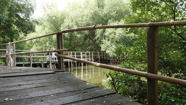  Mangrove Doğa Parkındaki Mangrove kreşi, Kuzey Jakarta.