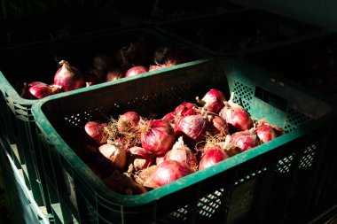 Gangnam, Güney Kore 'de sebze ambalajı.