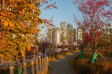  Elektrik yakıt istasyonu. Seul, Kore 'de. 