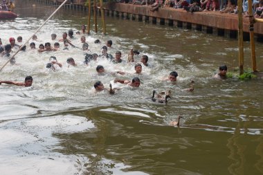 Endonezya Bağımsızlık Günü ördek yakalama yarışması Kalimalang, Doğu Jakarta 'da.
