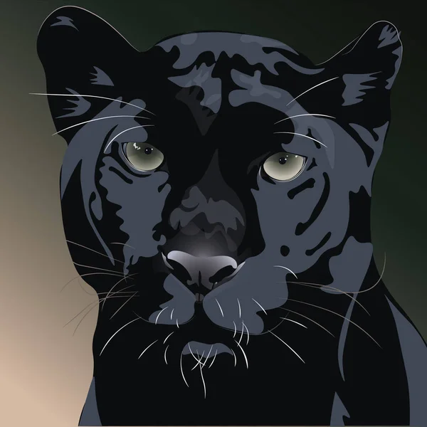Ilustración Leopardo Negro Contra Fondo Oscuro — Vector de stock