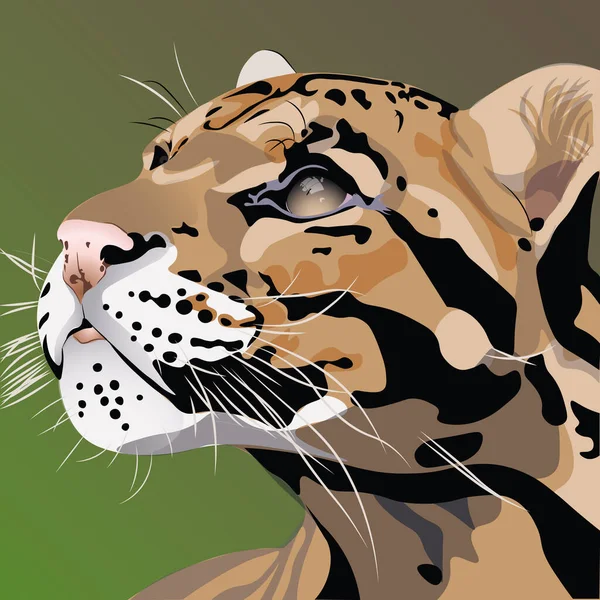 Изолированная Иллюстрация Облачного Леопарда Зеленом Фоне — стоковый вектор
