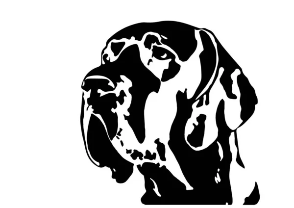 Great Dane Tête Noire Blanche — Image vectorielle