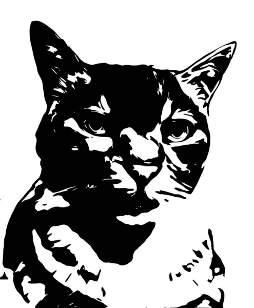 Ilustración Una Cabeza Gato Doméstica Blanco Negro — Vector de stock