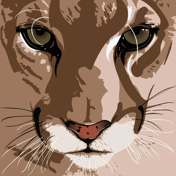 Illustration Mountan Lion Face Big Cat — Stock Vector