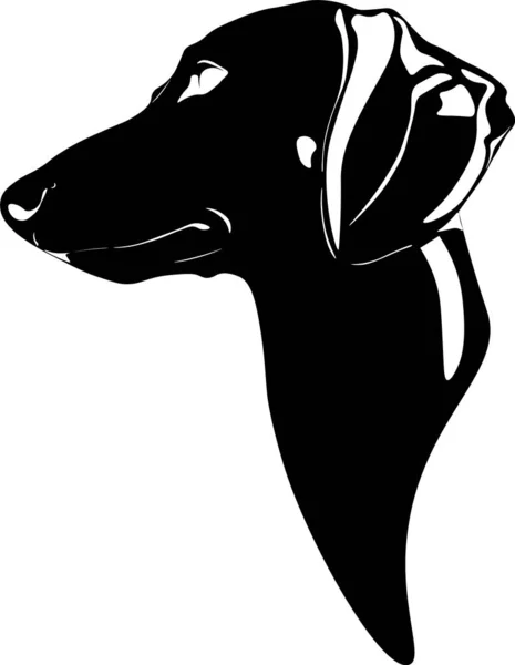 Tête Teckel Noir Blanc — Image vectorielle