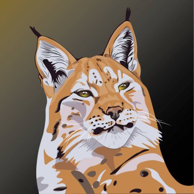 Avrasyalı Lyns 'in izole edilmiş bir çizimi yeşil bir arkaplan oluşturur