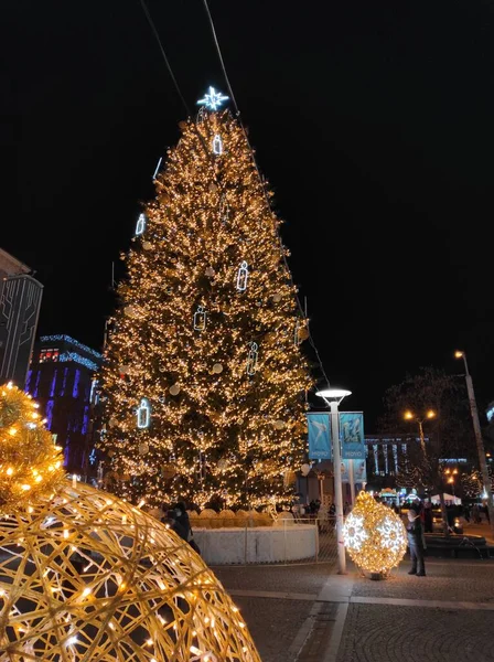 Árvore Natal Dnipro Mágico — Fotografia de Stock