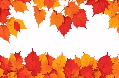 Akçaağaç yaprağı çalıları Sonbaharın sembolü Kültür, beyaz arkaplan