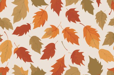 Sonbahar yaprağı deseni arka plan, sonbahar akçaağaç yaprakları