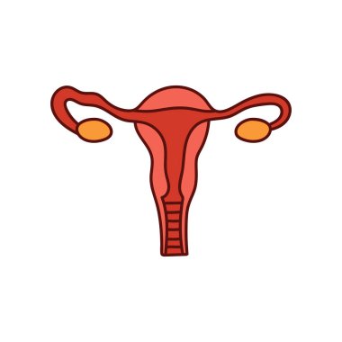 Çizgi film Vektör illüstrasyonunu çizen çocuklar, Beyaz Arkaplanda izole edilmiş dişi üreme sistemi simgesi