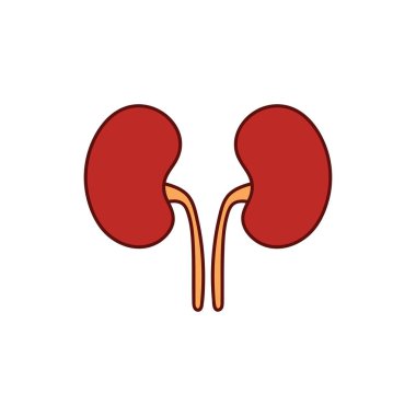 Beyaz Arkaplanda izole edilmiş Çizgi film Vektörü illüstrasyon böbrekleri çizen çocuklar