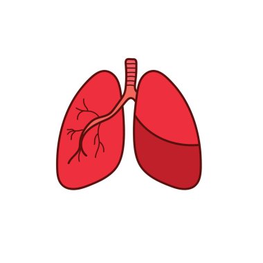 Beyaz Arkaplanda izole edilmiş Çizgi film Vektörü illüstrasyon Ciğerleri simgesi çizen çocuklar