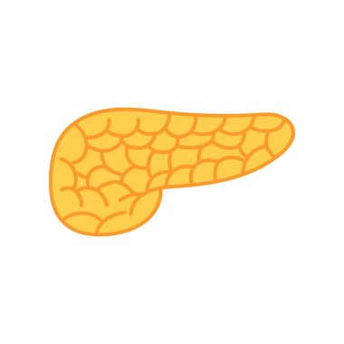 Beyaz Arkaplanda izole edilmiş Çizgi film Vektörü illüstrasyon pankreas simgesi çizen çocuklar