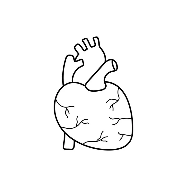 Ručně Kreslené Děti Kresba Cartoon Vector Ilustrace Srdce Ikona Izolované — Stockový vektor