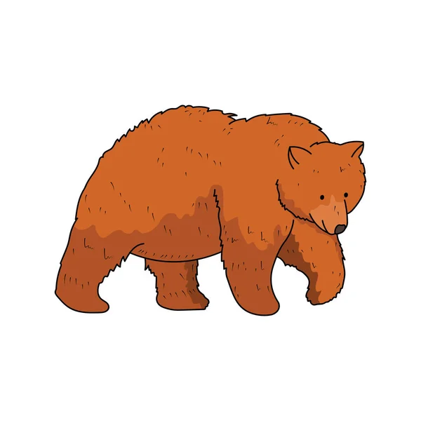 Bambini Disegno Cartone Animato Vettoriale Illustrazione Orso Icona Isolato Sfondo — Vettoriale Stock