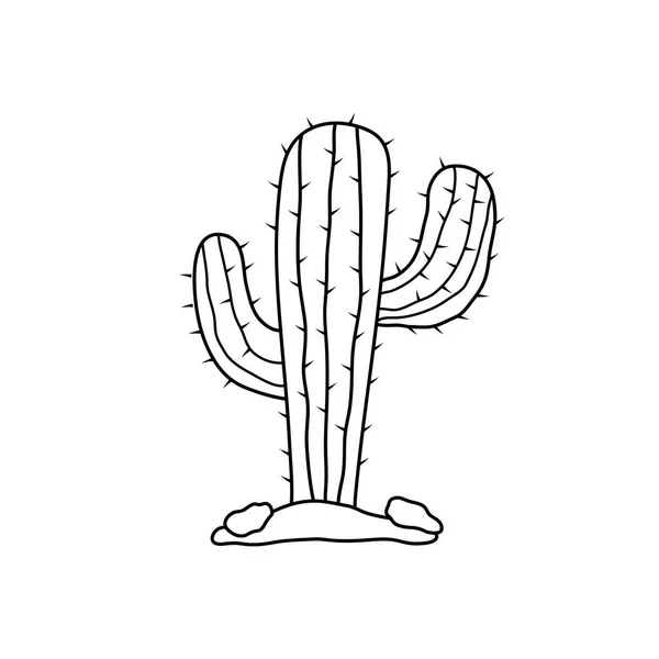 Dibujo Dibujado Mano Para Niños Icono Cactus Ilustración Vectorial Dibujos — Archivo Imágenes Vectoriales