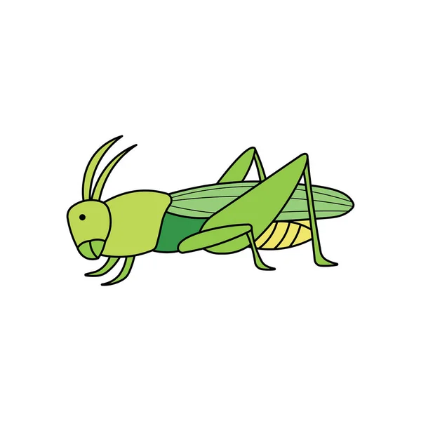 Kids Drawing Cartoon Vector Illustration Grasshopper Icon Isolated White Background — Stock Vector