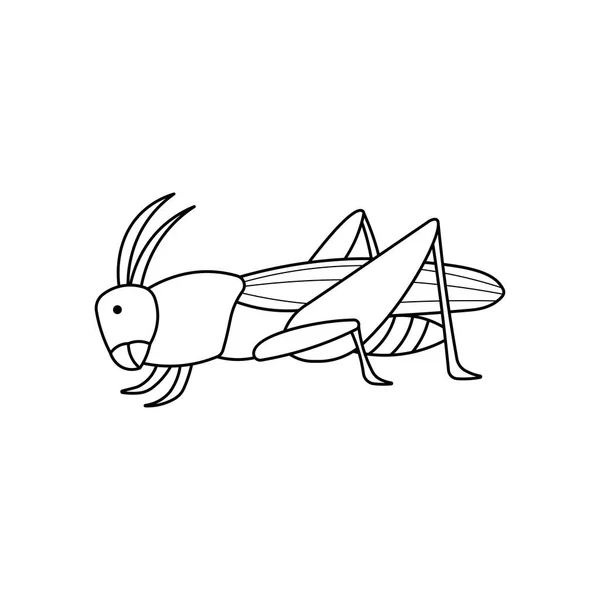Ručně Kreslené Děti Kresba Cartoon Vector Ilustrace Kobylka Ikona Izolované — Stockový vektor