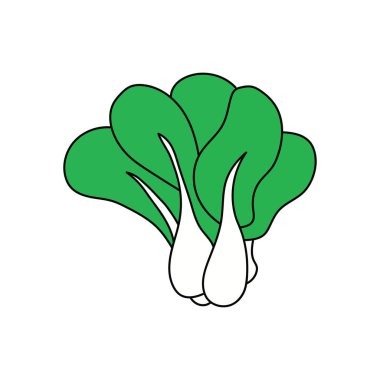 Beyaz Arkaplanda izole edilmiş çizgi film vektörü illüstrasyon bok choy simgesi çizen çocuklar