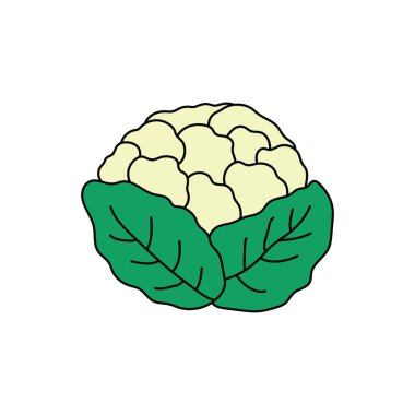 Çizgi film Vektörü illüstrasyonu çizen çocuklar Beyaz Arkaplanda izole edilmiş karnabahar simgesi