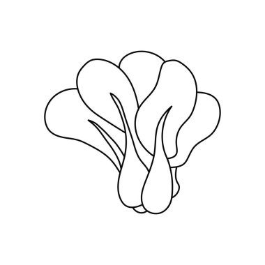 El çizimi Çocuklar Beyaz Arkaplanda izole edilmiş çizgi film vektörü çizimi bok choy simgesi