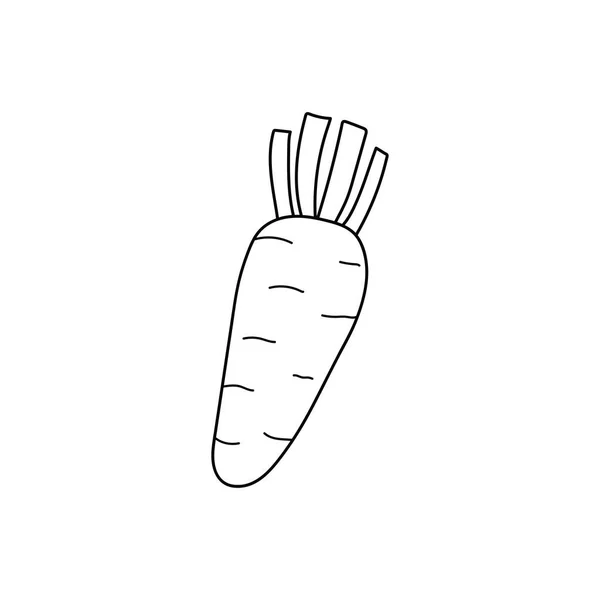 Ручной Рисунок Дети Рисуют Мультфильм Вектор Иконка Иллюстрации Морковь Изолированный — стоковый вектор