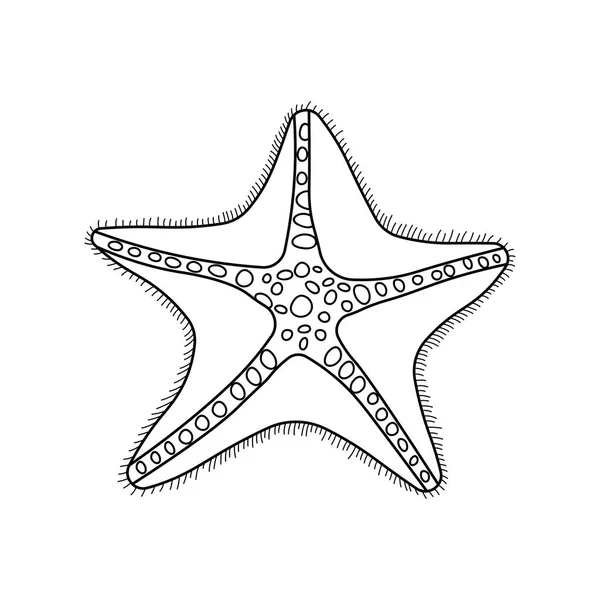 Hand Drawn Cartoon Vector Illustration Starfish Icon Isolated White Background — Stock Vector