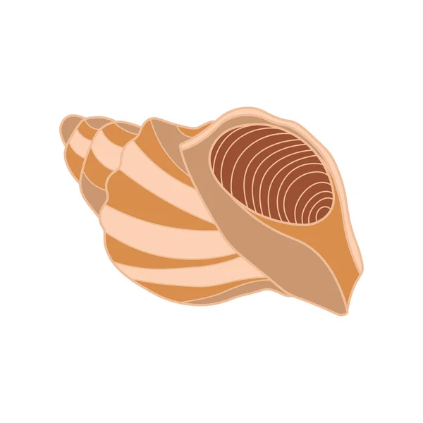 Cartoon Vector Illustration Seashell Icon Isolated White Background — Stock Vector
