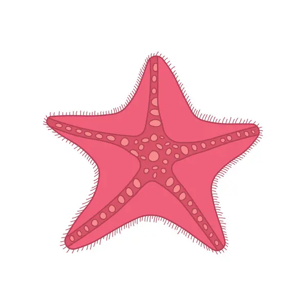 Cartoon Vector Illustration Starfish Icon Isolated White Background — Stock Vector