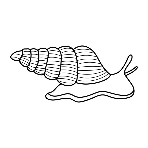 Hand Drawn Cartoon Vector Illustration Sea Snail Icon Isolated White — Stock Vector