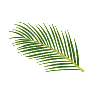 Çizgi film Vektörü illüstrasyon Hindistan cevizi yaprakları çizen çocuklar Beyaz Arkaplanda izole edilmiş