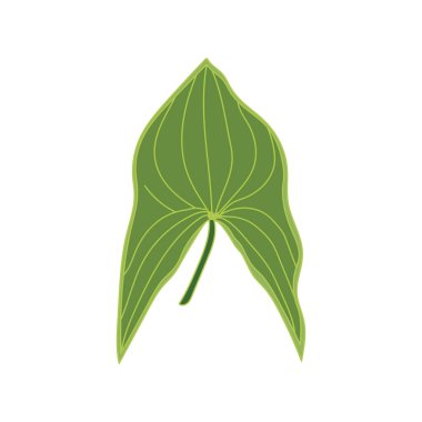 Beyaz Arkaplanda izole edilmiş ördek yaprağı çizen çocuklar.