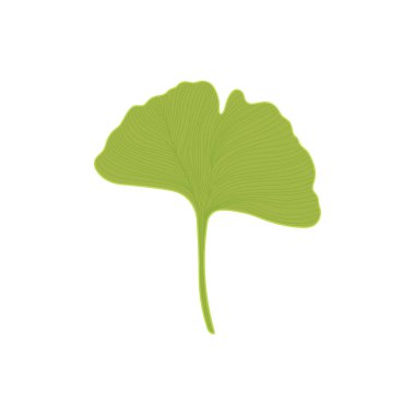 Beyaz Arkaplanda izole edilmiş Çizgi film Vektörü çizimi yapan çocuklar ginkgo yaprağı