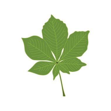 El çizimi Çocuklar Çizgi film Vektör çizimi kestane yaprakları Beyaz Arkaplanda izole