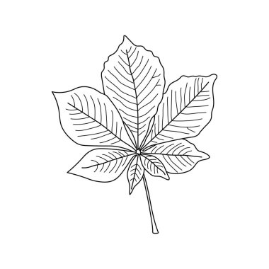 El çizimi Çocuklar Çizgi film Vektör çizimi kestane yaprakları Beyaz Arkaplanda izole