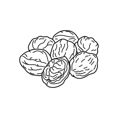 El çizimi Çocuklar Beyaz Arkaplanda izole edilmiş çizgi film tarzında vektör çizimi cevizleri