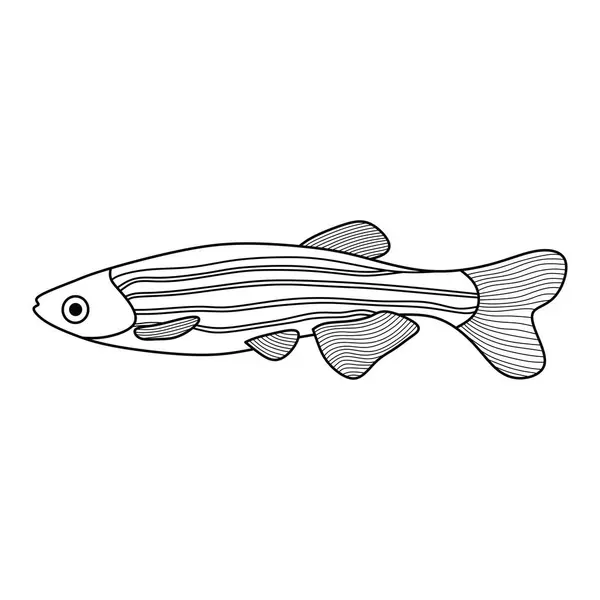Hand Drawn Cartoon Vector Illustration Zebra Fish Icon Isolated White — Stock Vector