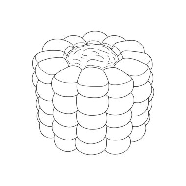 El çizimi çocuklar karikatür çiziyor Vektör çizimi beyaza izole edilmiş mısır simgesi kesiyor