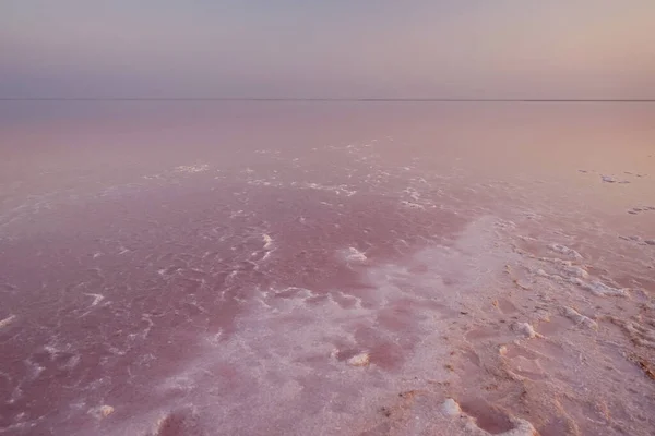 Рожева Сіль Солоному Озері Світанку — стокове фото