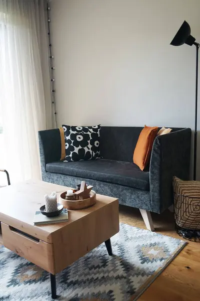 Modern İskandinav oturma odasında halısı, sehpası ve lambası olan gri kanepe.