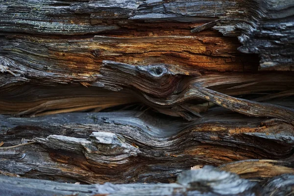 Текстура Старого Дерева Крупним Планом — стокове фото
